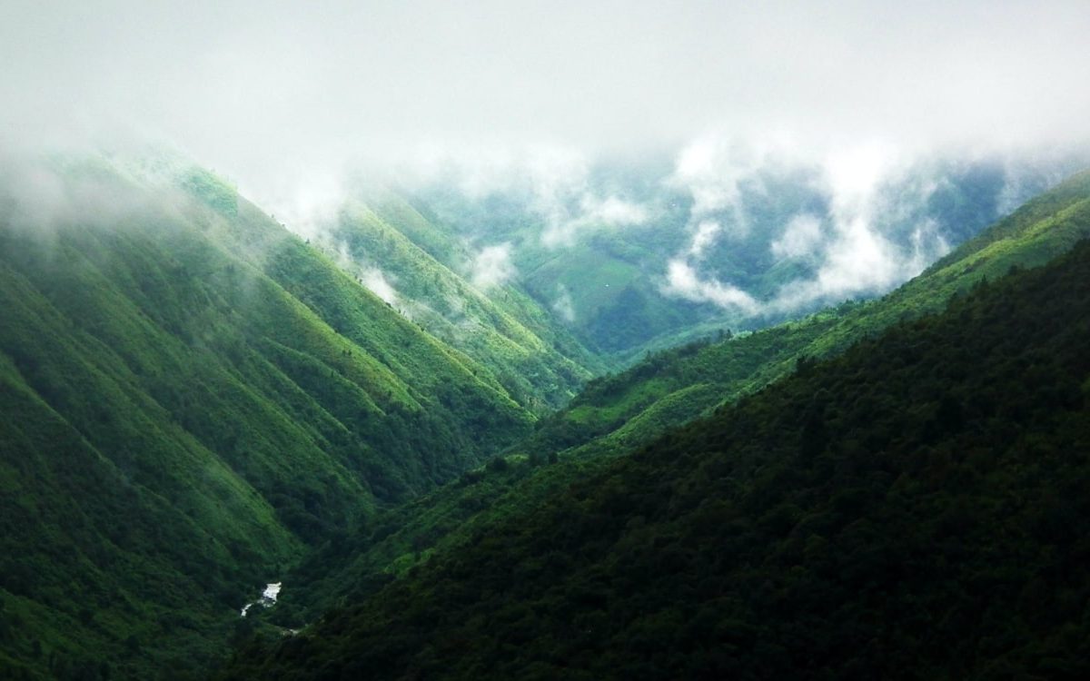 The Pursuit of Happiness: One Positive Habit at…