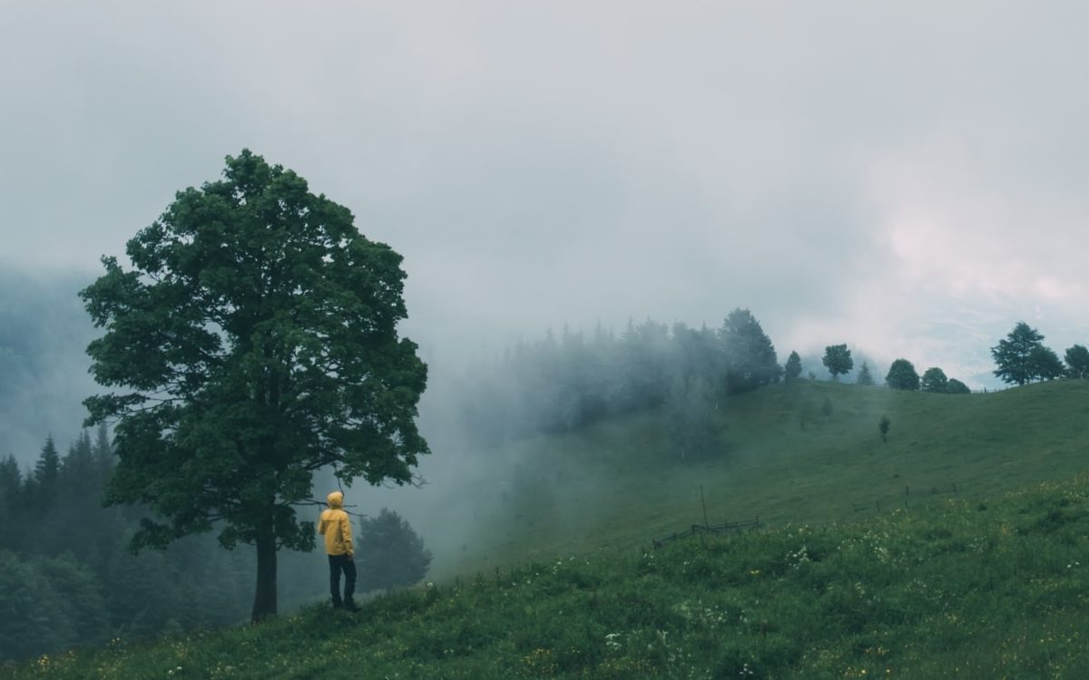 Adventures in Adulting: Navigating the Perils of Responsibility